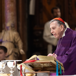 Erzdiözese Wien/ Schönlaub, Stephan Schönlaub