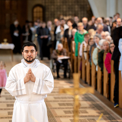 Erzdiözese Wien/Schönlaub, Stephan Schönlaub