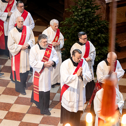 Stephanifest / Erzdiözese Wien/Schönlaub, Stephan Schönlaub