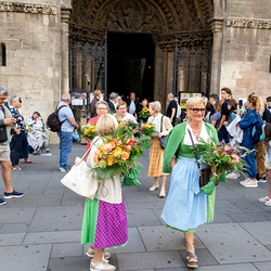 Fiacriusmesse 2025 / Erzdiözese Wien/Schönlaub, Stephan Schönlaub