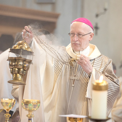 Erzdiözese Wien/Schönlaub, Stephan Schönlaub