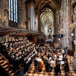 Stephansdom: Österreich nahm Abschied von Papst Franziskus