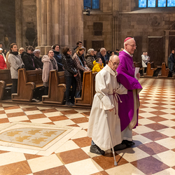 WDST 2024 im Stephansdom / Erzdiözese Wien/Schönlaub