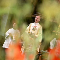 Fiacriusmesse 2025 / Erzdiözese Wien/Schönlaub, Stephan Schönlaub