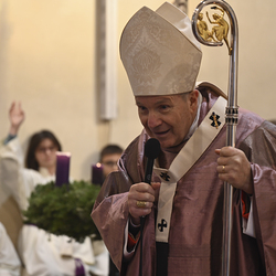 25 Jahre Stadterhebung Gerasdorf / www.markus-goestl.at