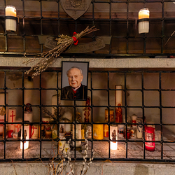 Dies Academicus 2024 / Erzdiözese Wien/Schönlaub