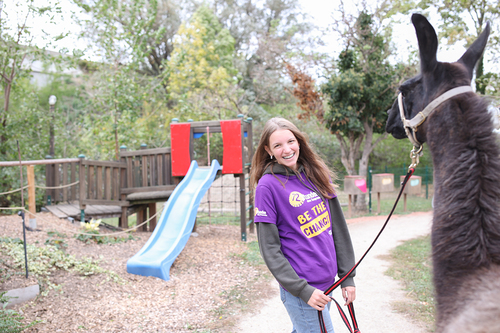Dies & Das im Therapiehof Regenbogental